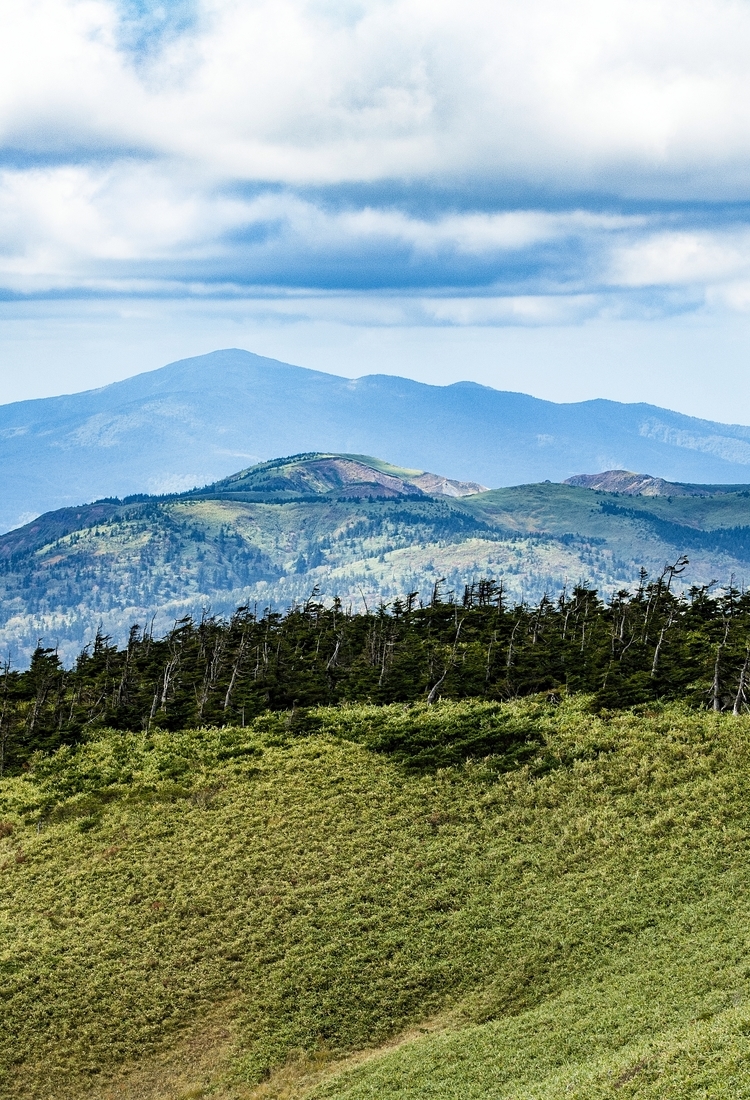 八幡平及周边区域
