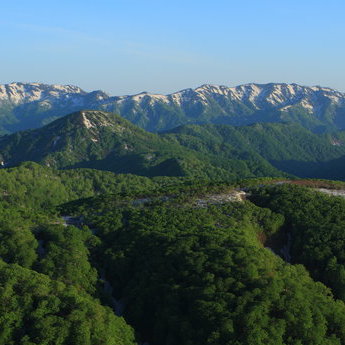白神山地与大馆