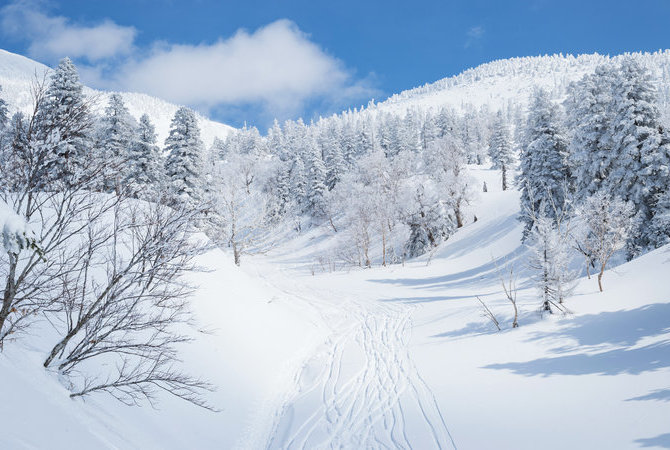 十和田湖及周边地区