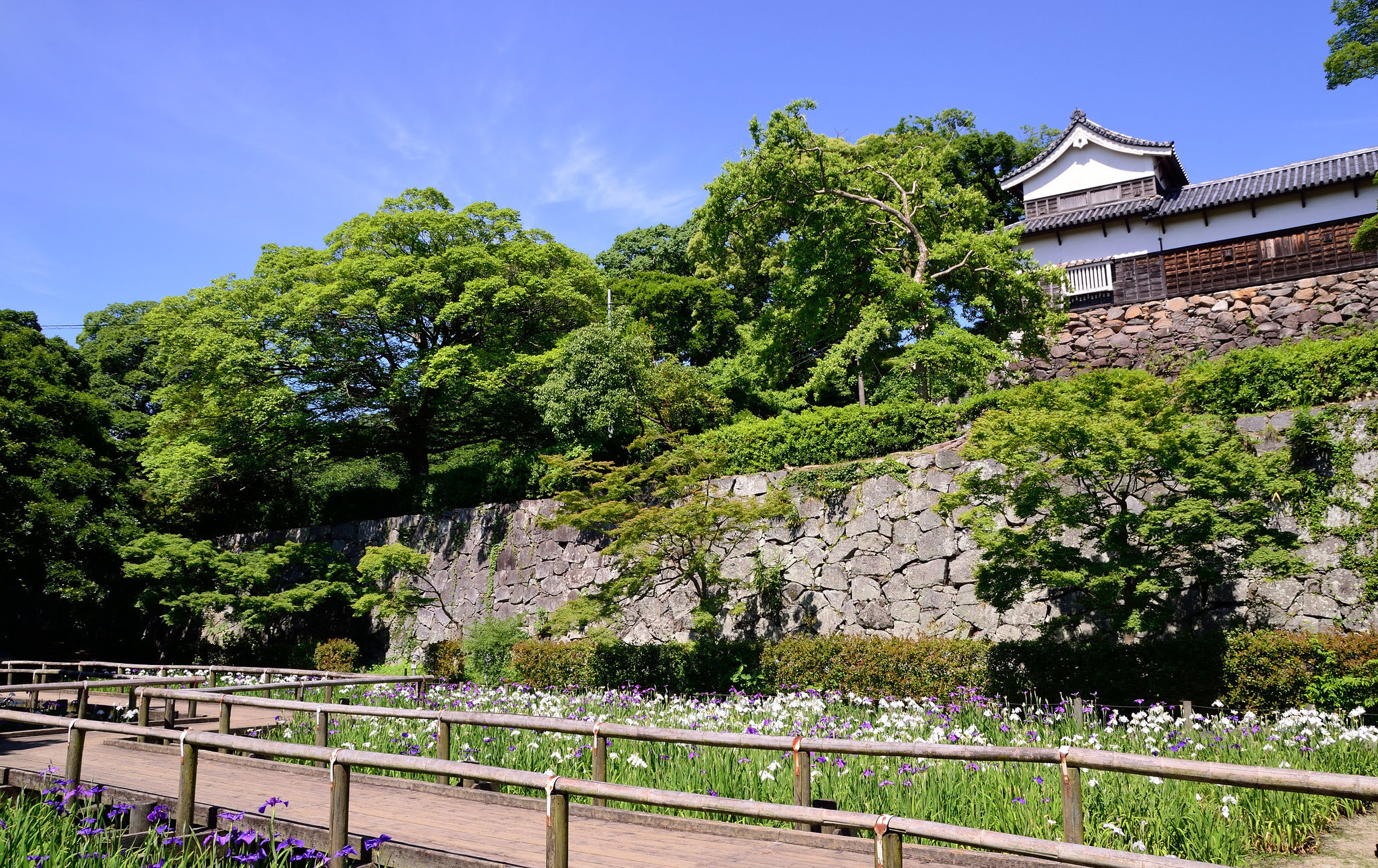 福冈城旧址·舞鹤公园