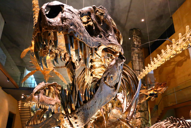 北九州市立生命之旅博物馆