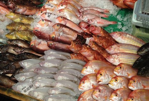 长滨鲜鱼市场
