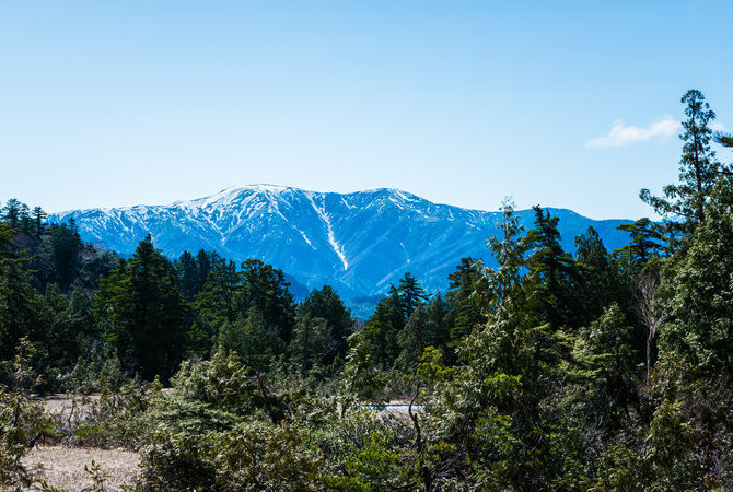 尾濑国立公园（福岛）