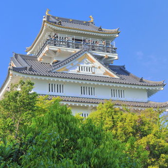 岐阜市及周边区域