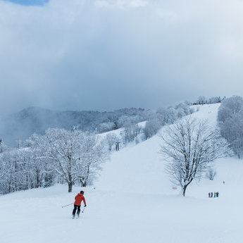 岐阜滑雪场