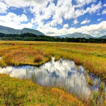 尾濑国立公园（群马）