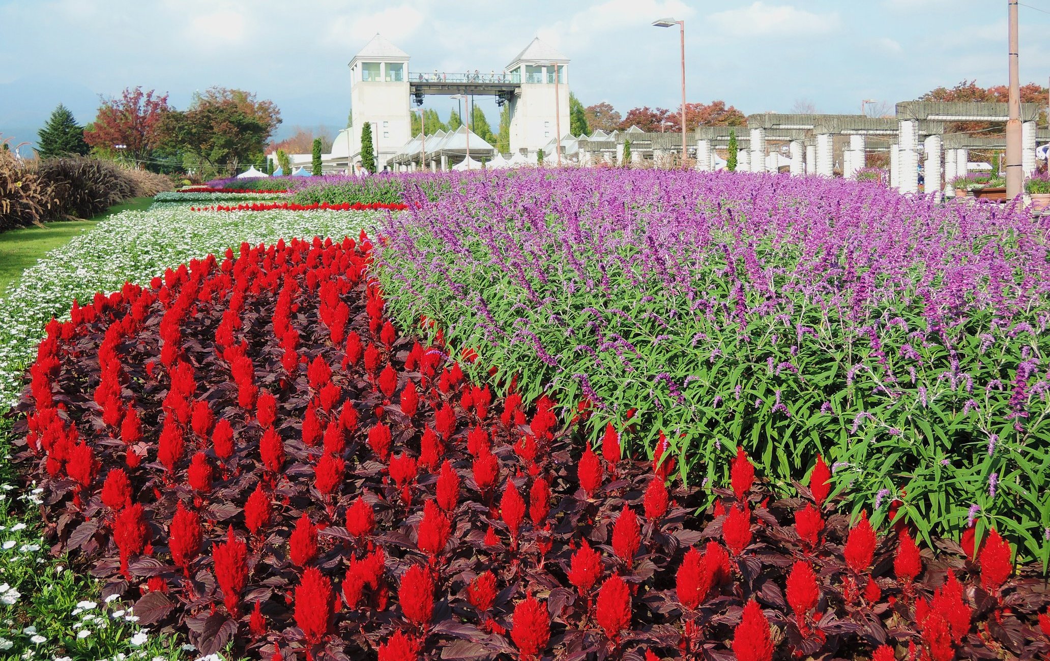群马花卉公园