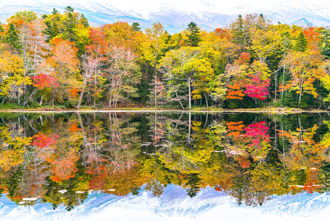 知床（联合国教科文组织）