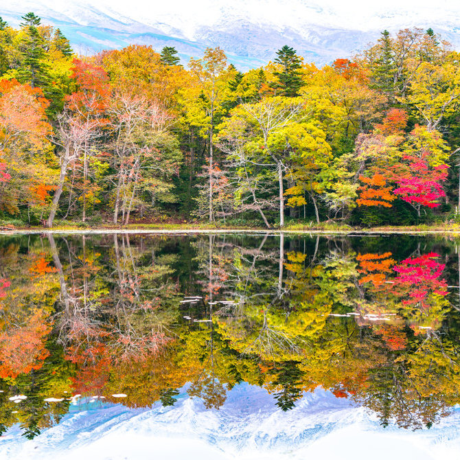 知床（联合国教科文组织）