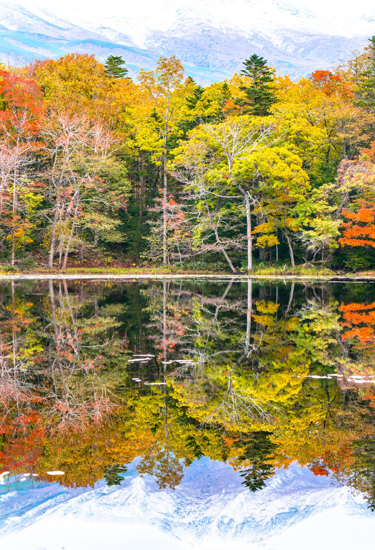 知床（联合国教科文组织）