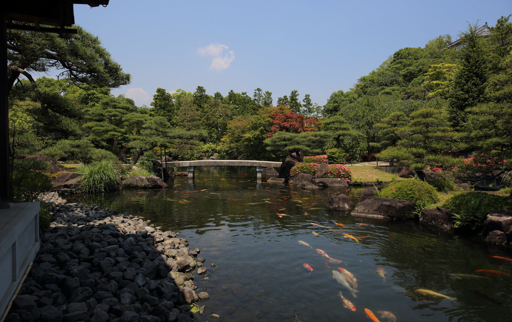 姬路城西御宅邸旧址庭园 好古园