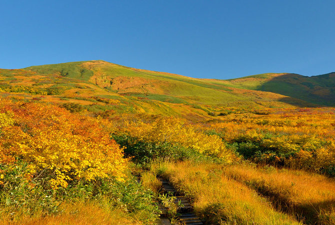 东北地区的文化与友谊之旅