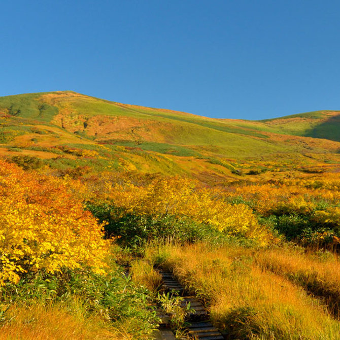东北地区的文化与友谊之旅
