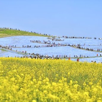 大洗与常陆那珂