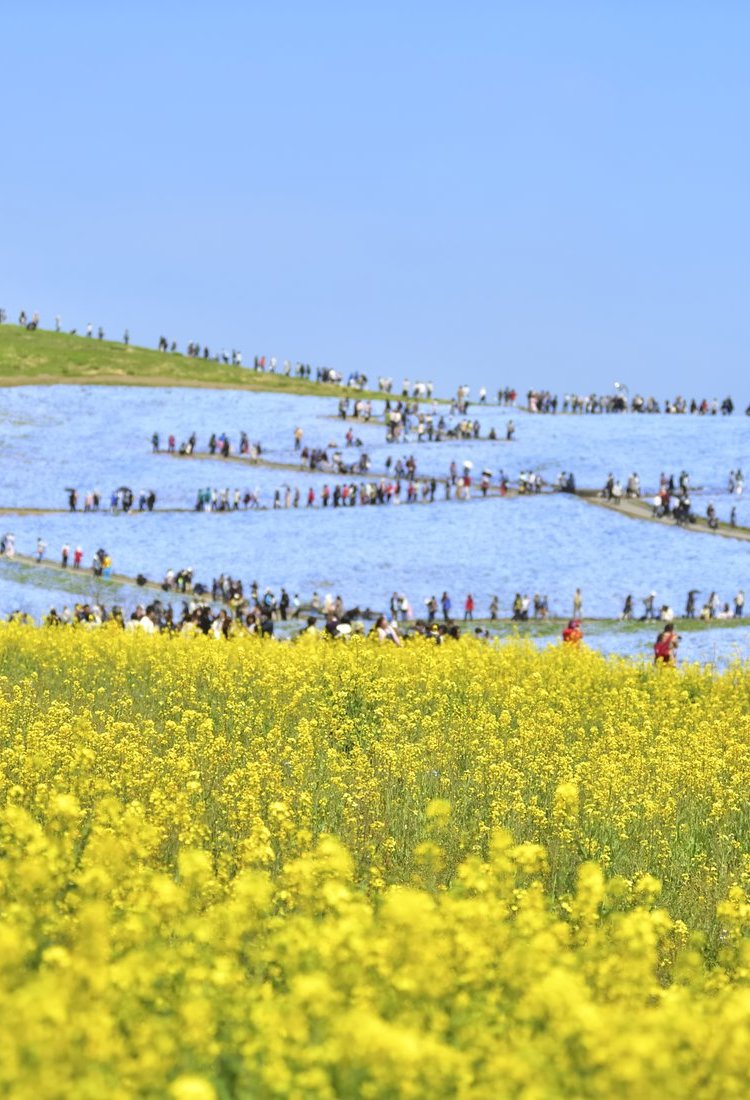 大洗与常陆那珂