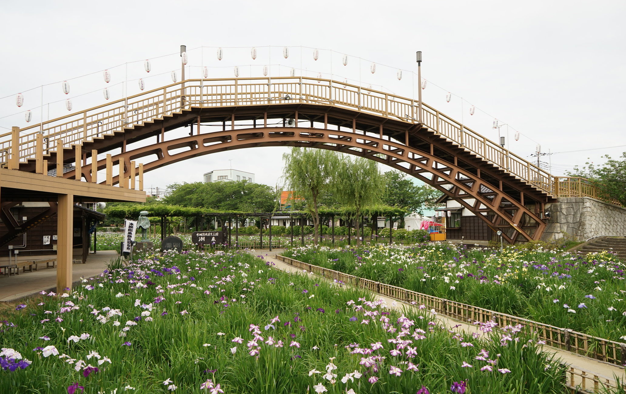 水乡潮来菖蒲祭