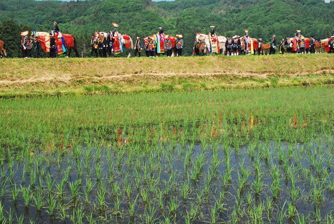叮铃叮铃赶马会