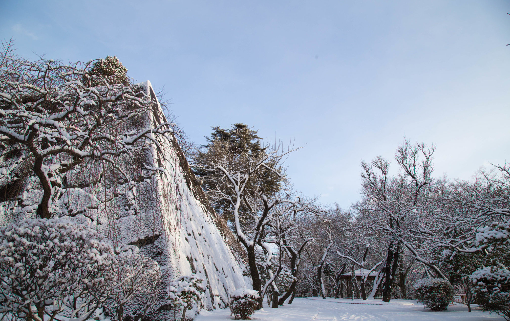 岩手公园（盛冈城旧址公园）