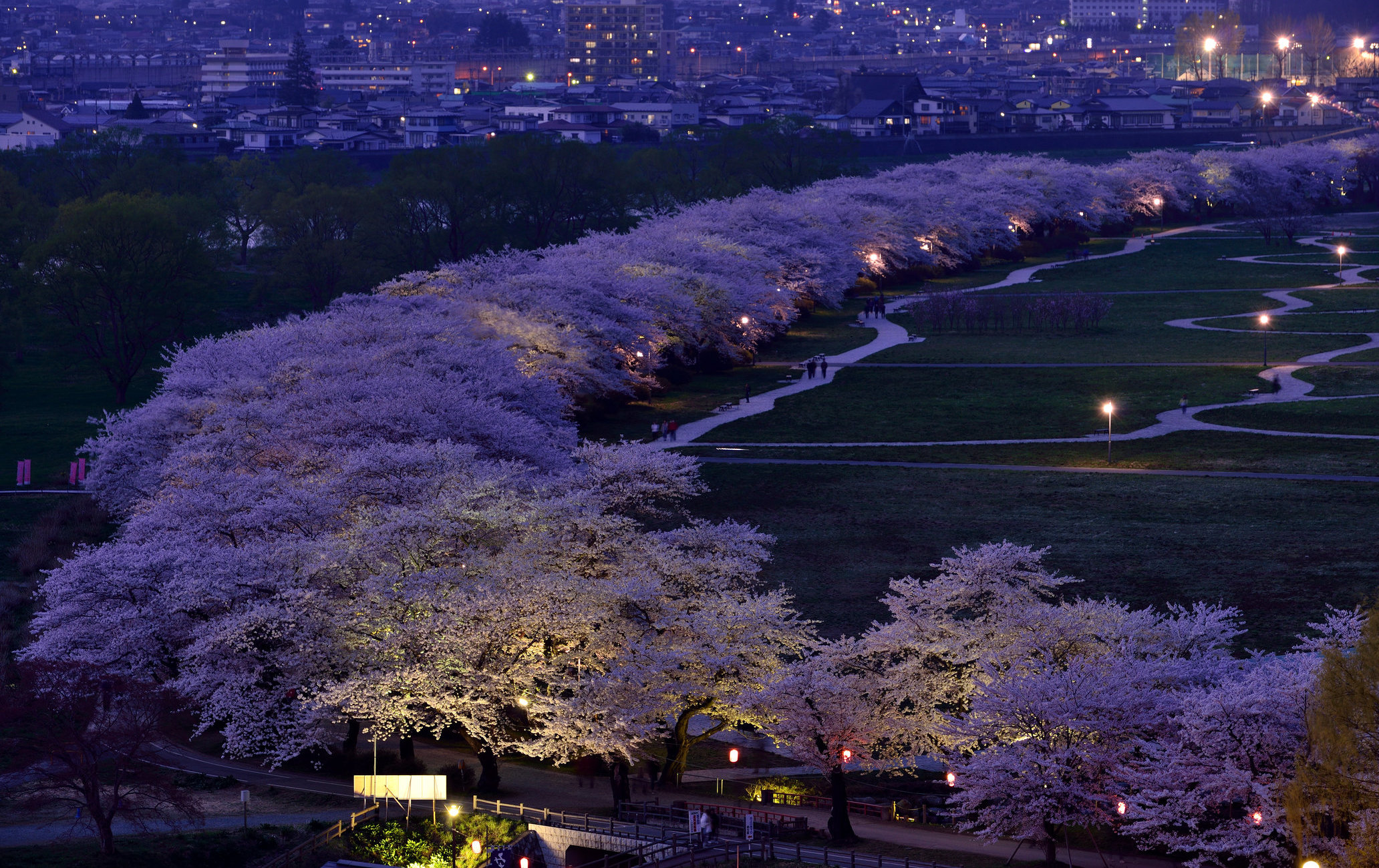 北上展胜地樱花祭