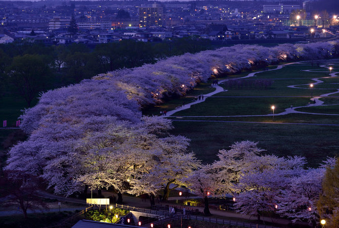 北上展胜地樱花祭