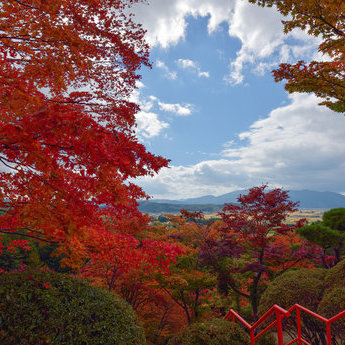 花卷及周边区域
