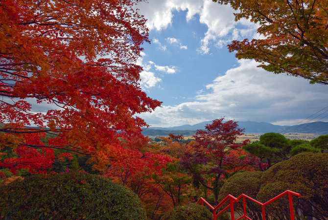 花卷及周边区域