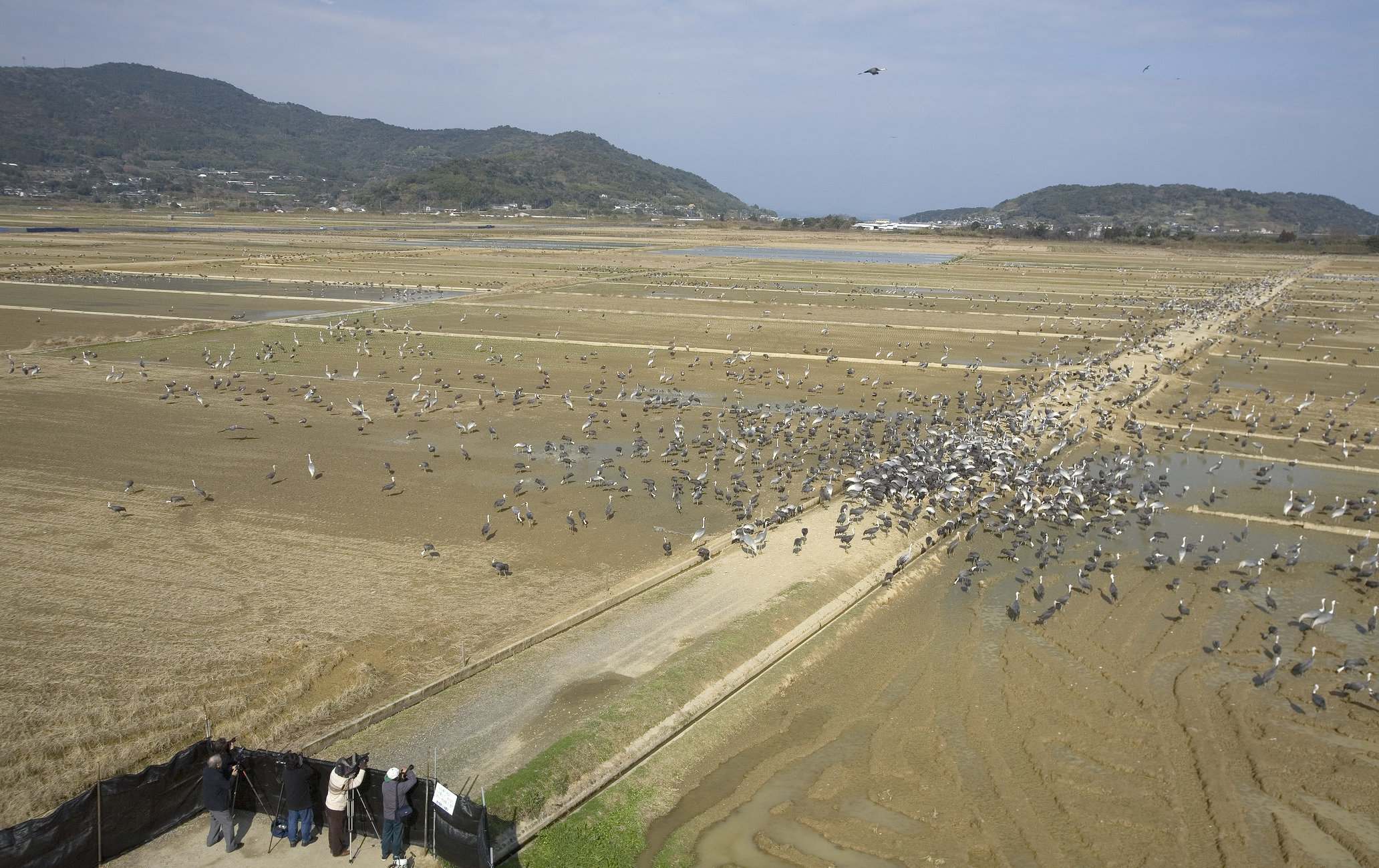 出水市鹤观察中心