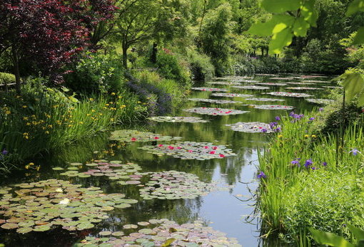 北川村“莫内庭园”玛摩丹美术馆