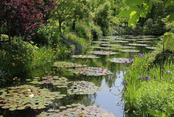 北川村“莫内庭园”玛摩丹美术馆