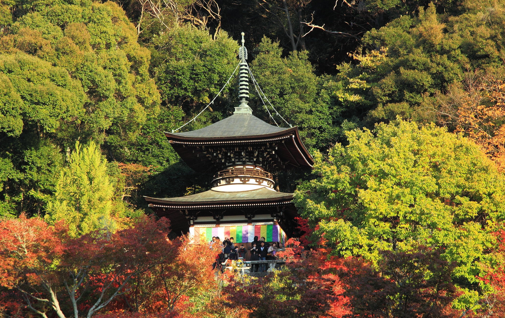 永观堂（禅林寺）