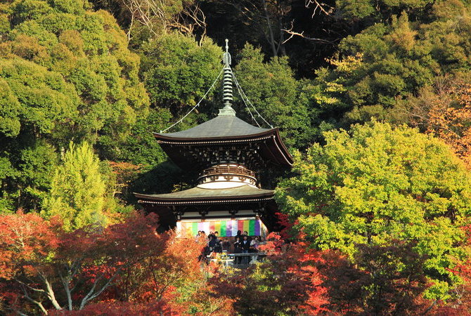 永观堂（禅林寺）