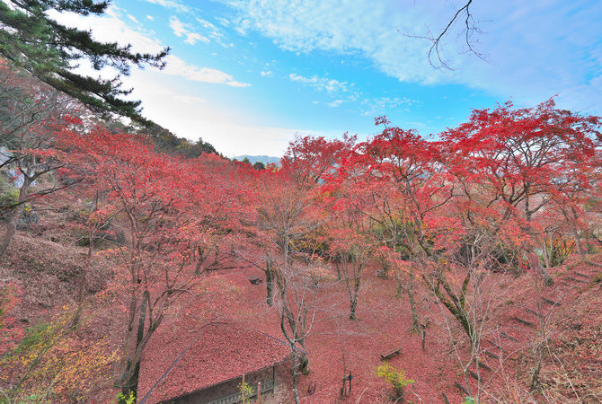 笠置山自然公园