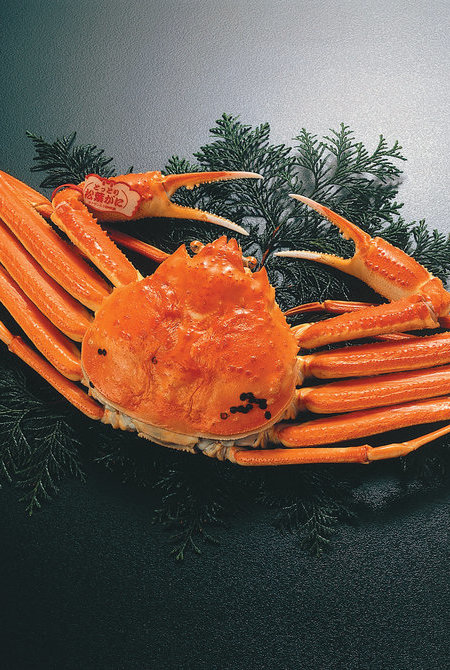 松叶雪蟹