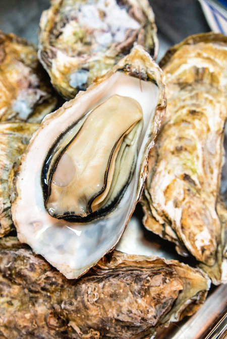广岛生蚝