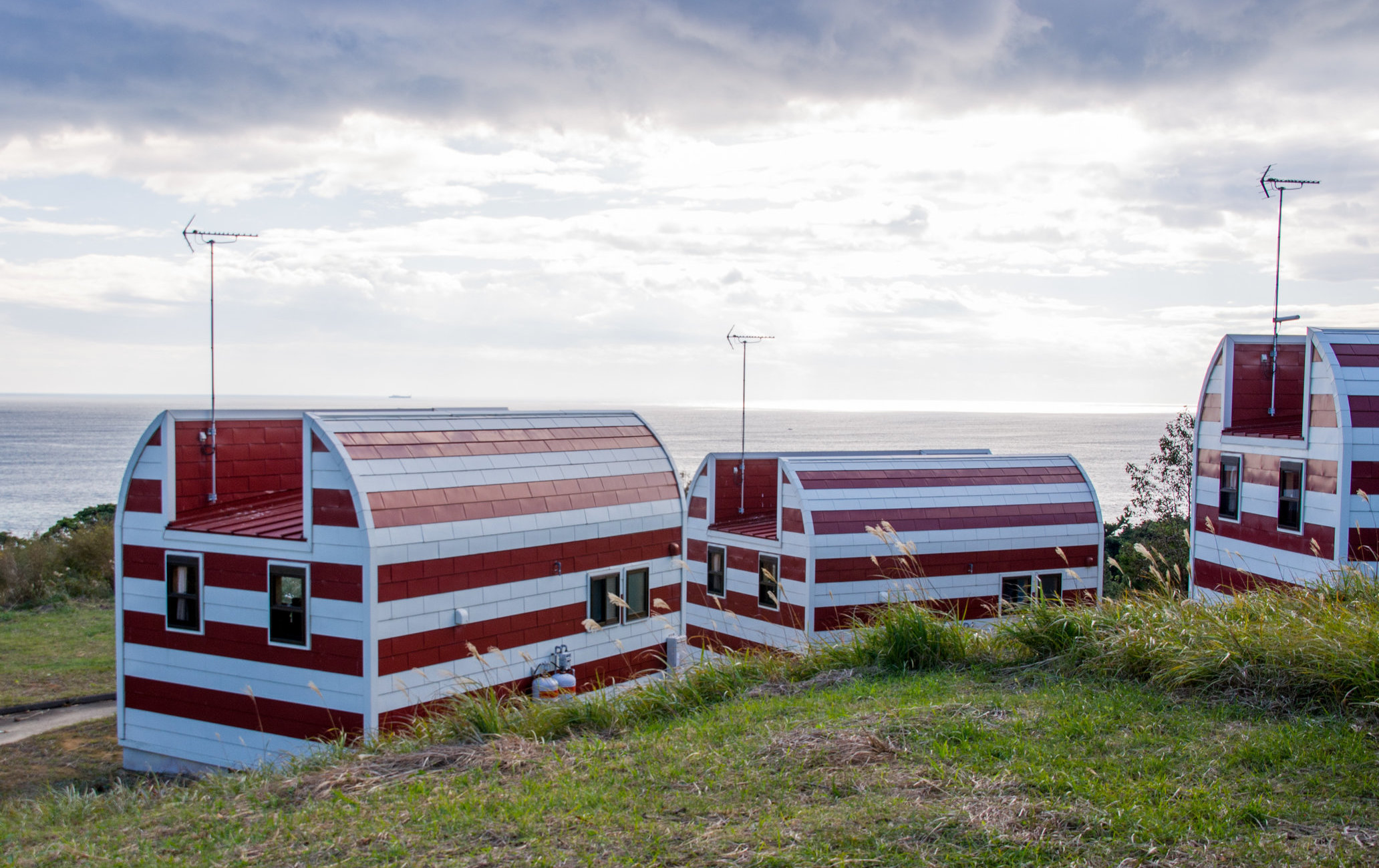 田代岛（猫岛）