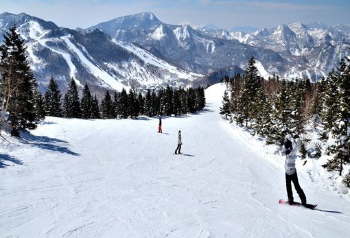 志贺高原滑雪场