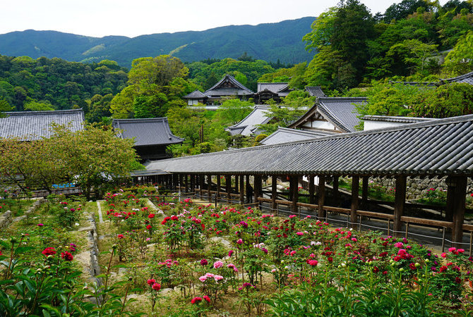 长谷寺（神奈川）