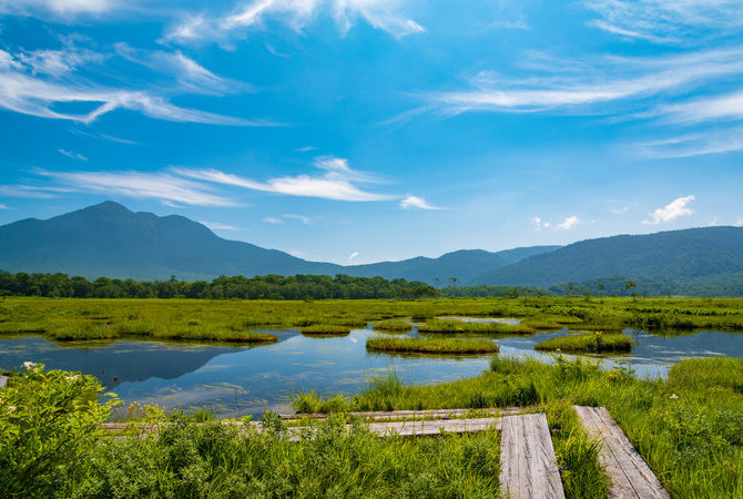 尾濑国立公园（新潟）