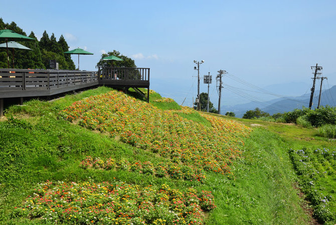 汤泽高原滑雪场