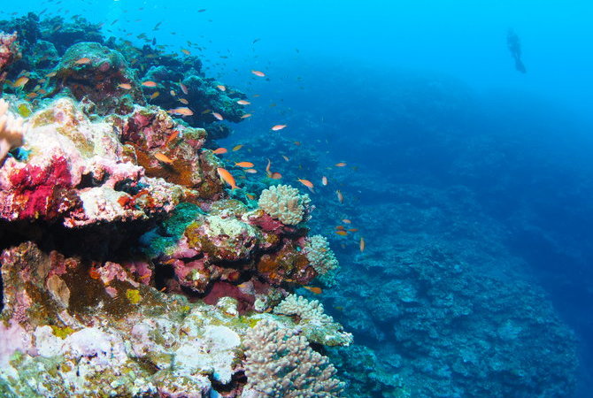 石垣岛潜水