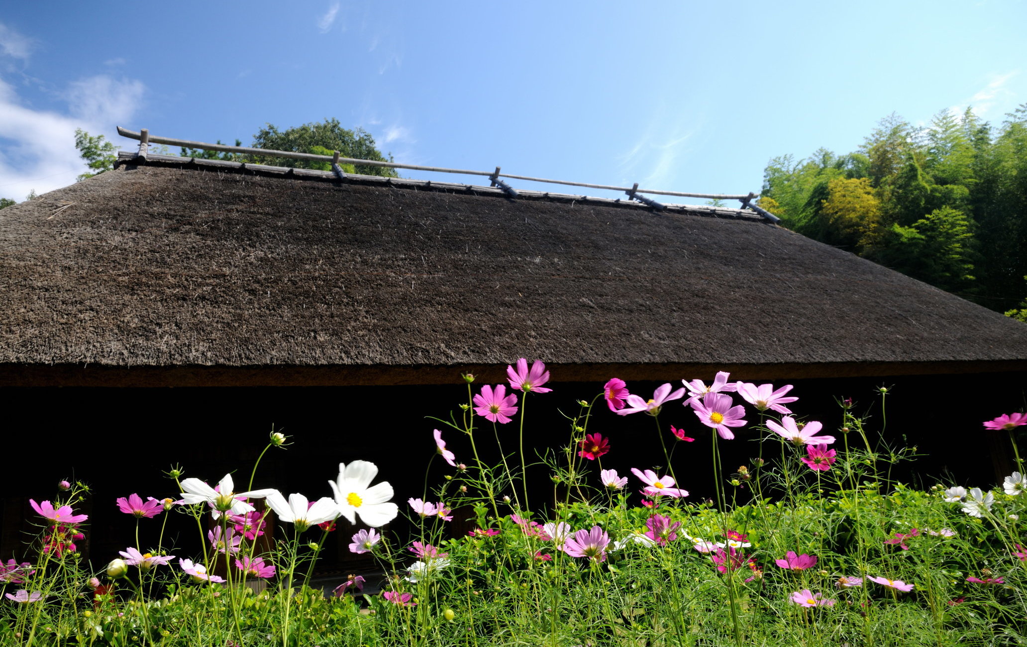 日本民家集落博物馆