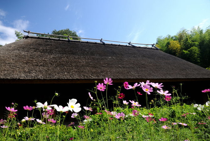 日本民家集落博物馆