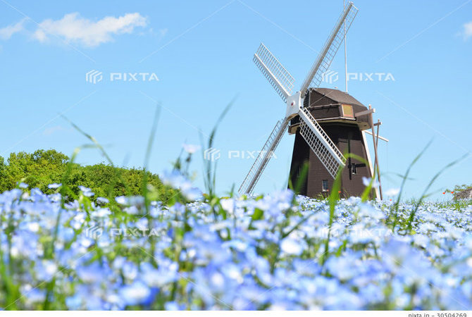 花博纪念公园鹤见绿地