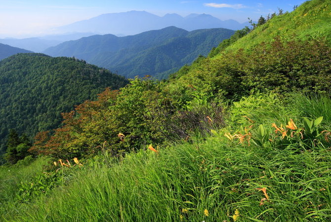 尾濑国立公园（栃木）