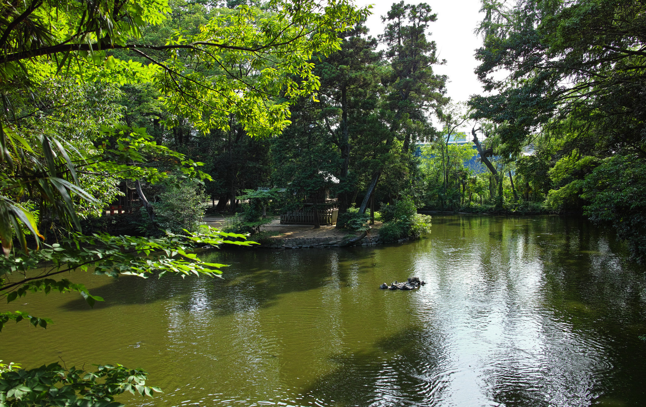 大宫冰川神社