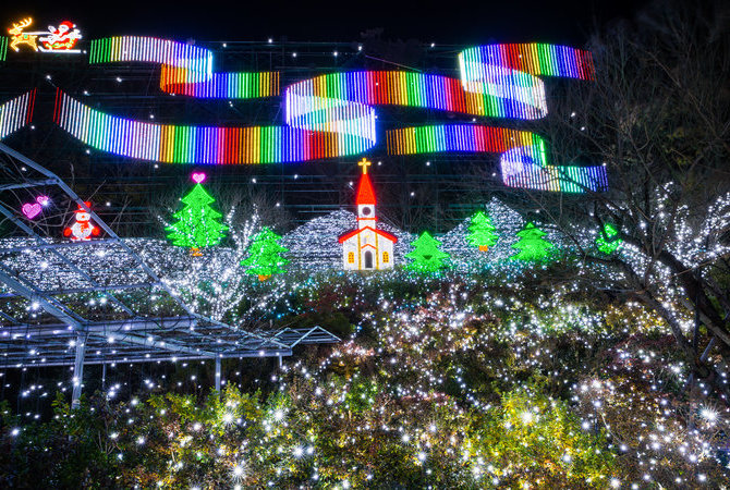 花卉的梦幻世界 光之花庭园