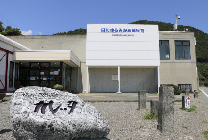 日和佐海龟博物馆Caretta