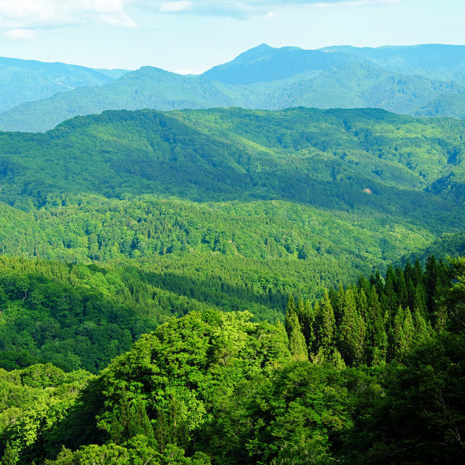 白神山地山脉（联合国教科文组织）