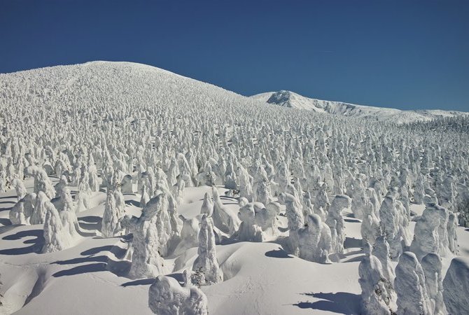 藏王树冰（山形）