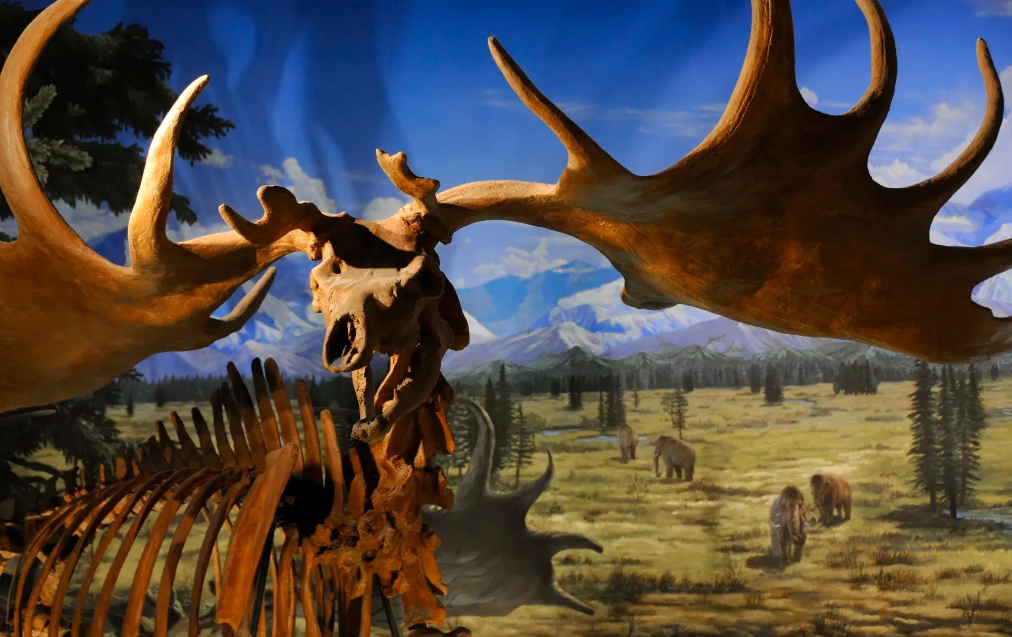 福井县立恐龙博物馆